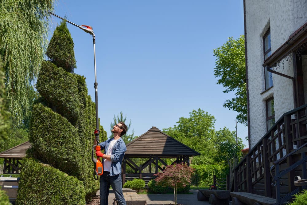 Eco-Friendly Roof Cleaning Tips