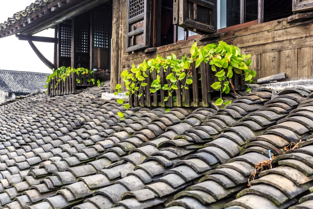 How to Clean Roof Shingles Without Causing Damage A Step-by-Step Guide