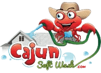 Cajun Soft Wash house roof cleaning logo