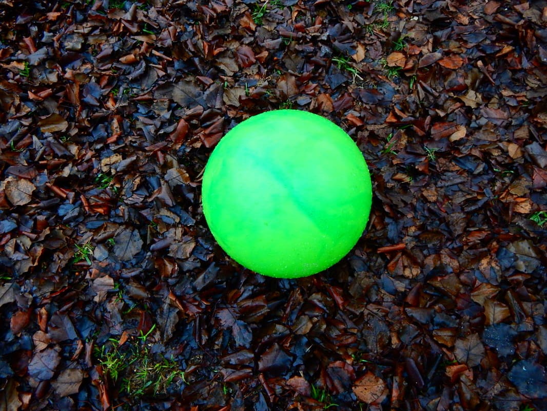 Cajun Soft Wash playground cleaning leaves dirty